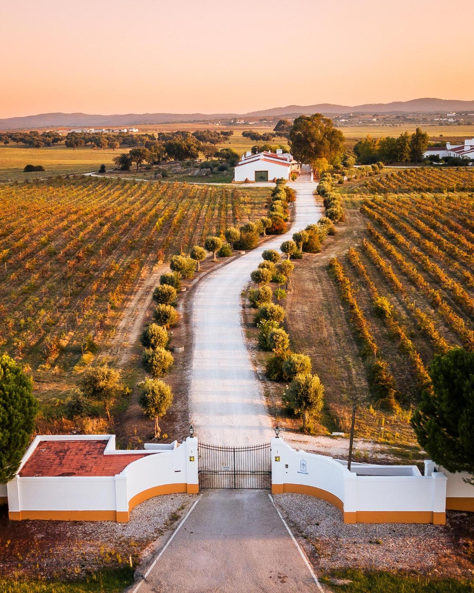 Holiday home Monte Lages