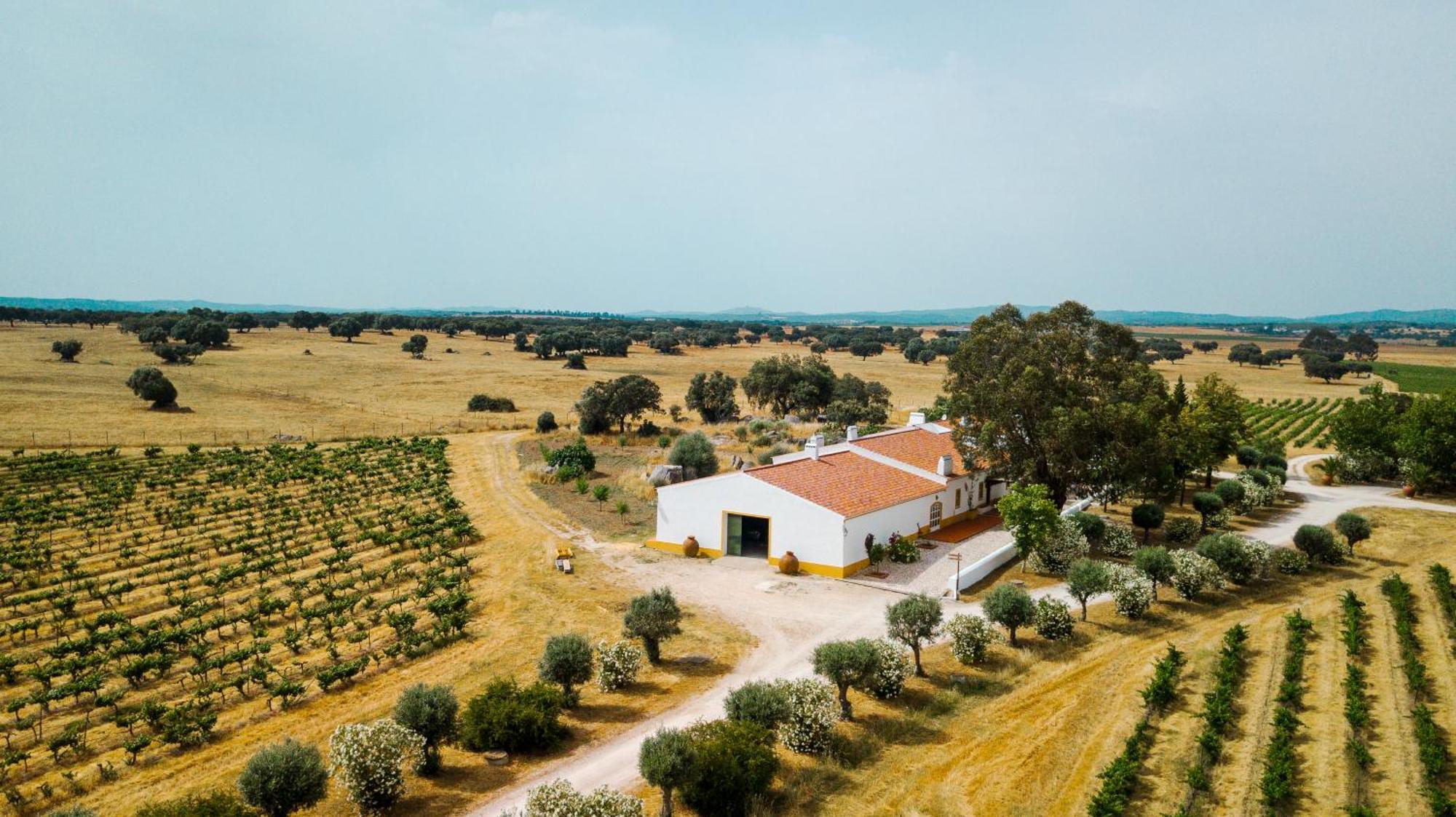 Holiday home Monte Lages *